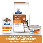 Hill’s Prescription k/d Diet Kidney Care Salmón sobre en salsa para gatos, , large image number null